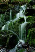 image of Borden Falls cascades
