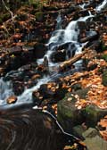 image of Fall at the falls