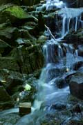image of Moss covered basalt and waterfall