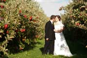image of couple in orchard