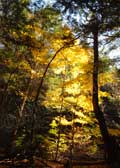 image of Autumn light