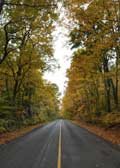 image of fall road