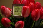 image of tulips with name