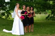 Image of bridal party 