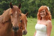 Image of bride with horses